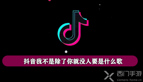 抖音我不是除了你就没人要是什么歌