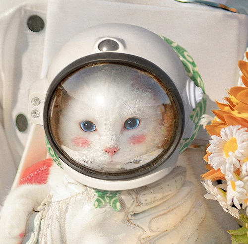 抖音同款宇航员情侣头像-宇航员猫咪高清情侣头像-西门手游网