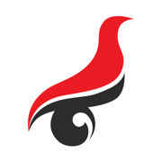 学信网学籍信息查询