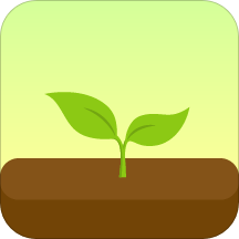 专注森林(Forest)