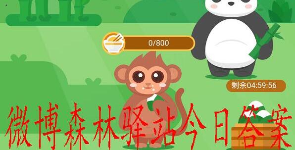 以下哪种动物行为预示着晴天的到来？