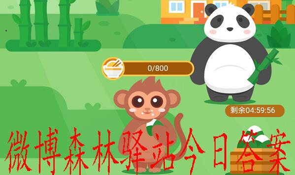 灰袋鼠宝宝出生多久后可以初次出育儿袋？