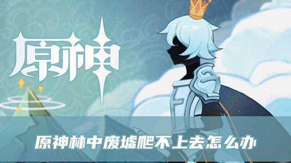 原神林中废墟爬不上去怎么办