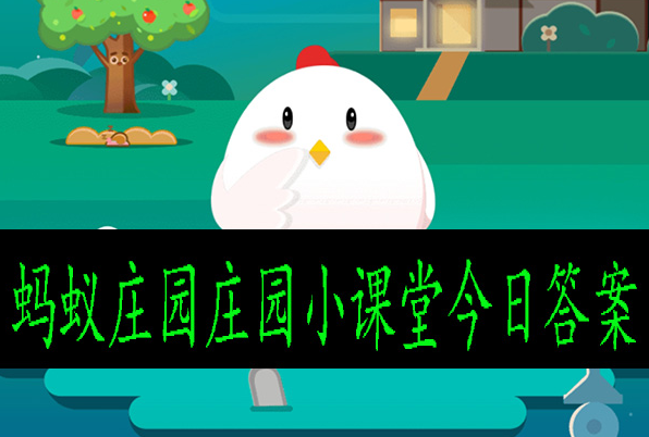 小鸡宝宝考考你，人体最坚硬的部位是