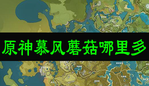 原神慕风蘑菇哪里多