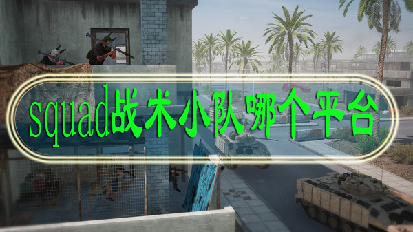 squad战术小队在哪个平台