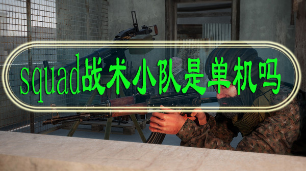 squad战术小队是单机吗
