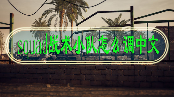 squad战术小队怎么调中文