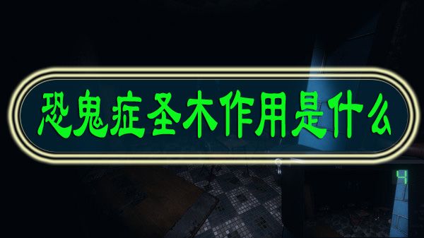 恐鬼症圣木作用是什么