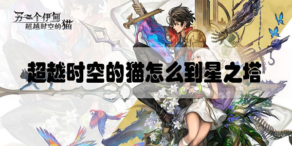 超越时空的猫怎么到星之塔