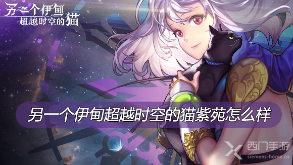 另一个伊甸超越时空的猫紫苑怎么样