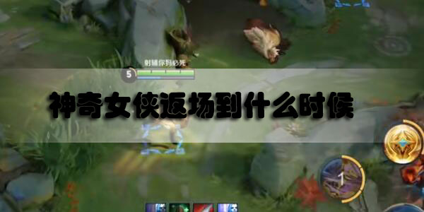 王者荣耀神奇女侠返场到什么时候2020