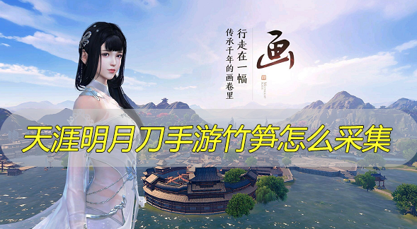 天涯明月刀手游竹笋怎么采集