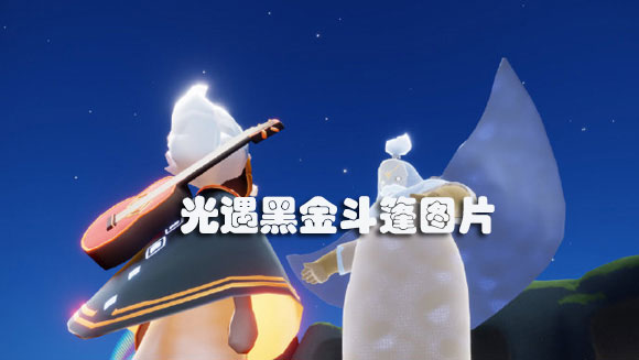 光遇黑金斗篷图片