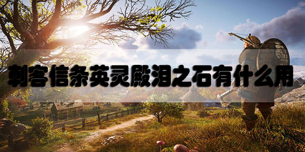刺客信条英灵殿泪之石有什么用