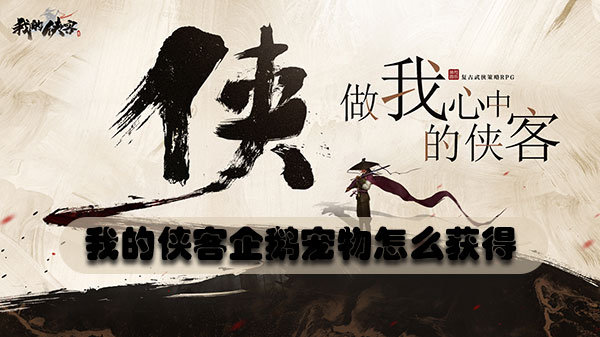 我的侠客企鹅宠物怎么获得