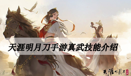 天涯明月刀手游真武技能介绍