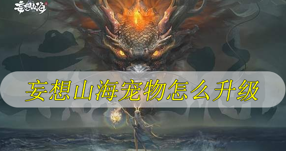 妄想山海宠物怎么升级