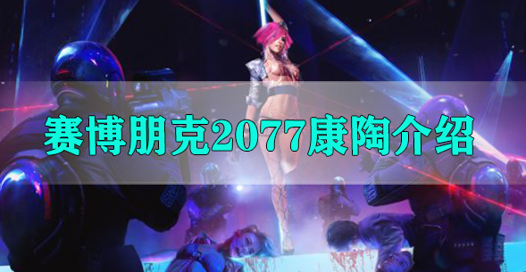 赛博朋克2077康陶介绍