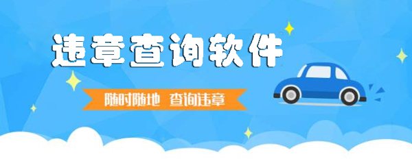 违章查询