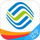 辽宁移动办税app下载