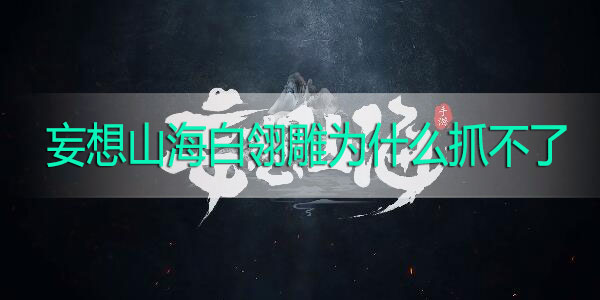 妄想山海白翎雕为什么抓不了