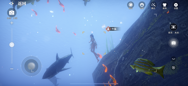 天谕手游幽光沙丁在哪