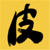 皮皮书