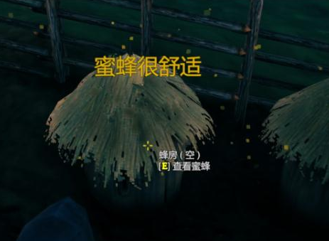 英灵神殿蜂巢怎么做