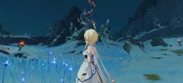 原神风花节留影任务攻略