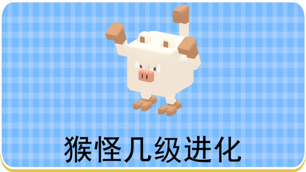宝可梦大探险猴怪几级进化