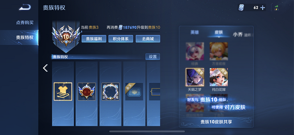 王者荣耀v10皮肤共享规则2023