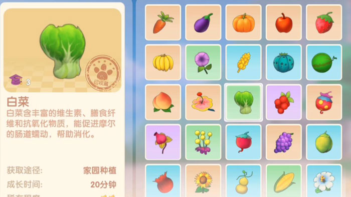 摩尔庄园手游白菜怎么获得