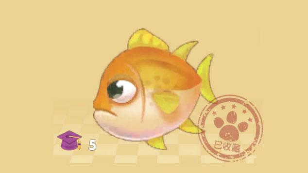 摩尔庄园手游金枪鱼在哪钓