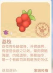 摩尔庄园手游荔枝怎么获得