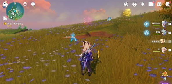 原神绯樱绣球怎么采集