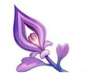 原神鸣草位置汇总