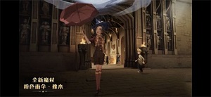 哈利波特国庆衣服有什么