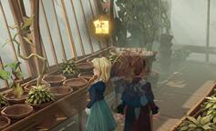 哈利波特魔法觉醒弗雷兄弟从来都不懂得植物的奥秘怎么做