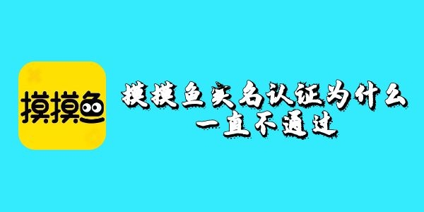 摸摸鱼实名认证为什么一直不通过