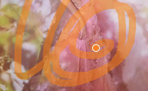 美图秀秀怎么去水印