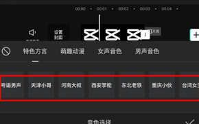 剪映文字转语音的视频怎么弄
