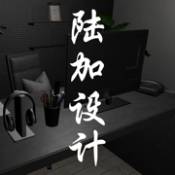 孙美琪疑案陆加设计