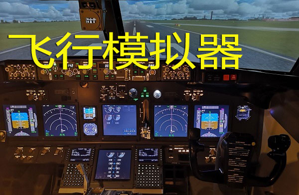 飞行模拟器