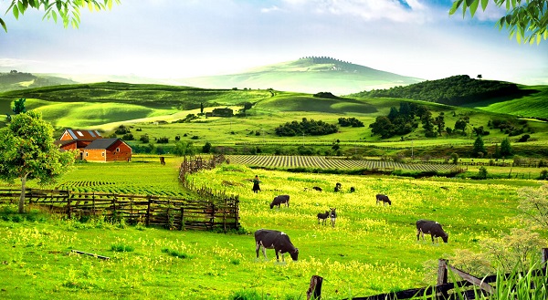 微信农场怎么弄