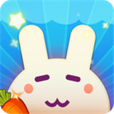 一起养兔兔
