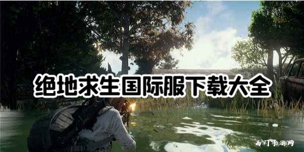绝地求生国际服
