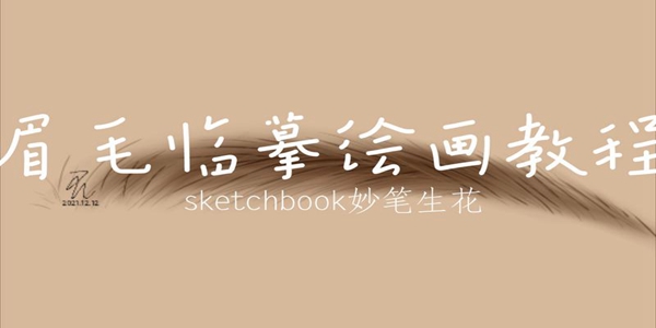Sketchbook软件
