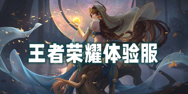 王者荣耀体验服