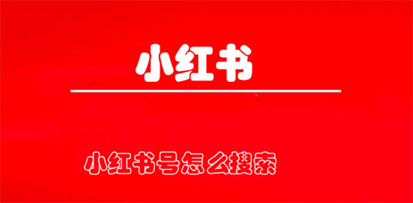 小红书号怎么搜索